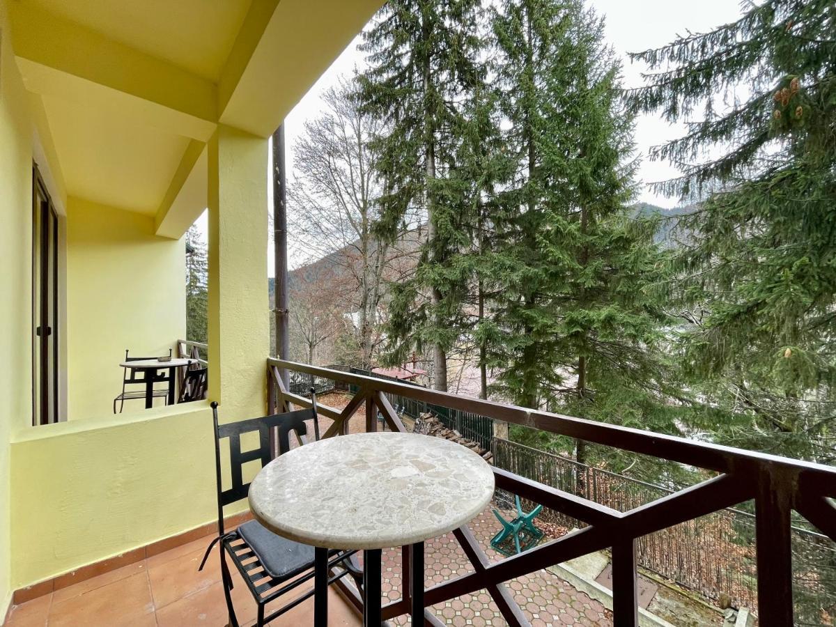 Vila Condor Poiana Braşov Dış mekan fotoğraf