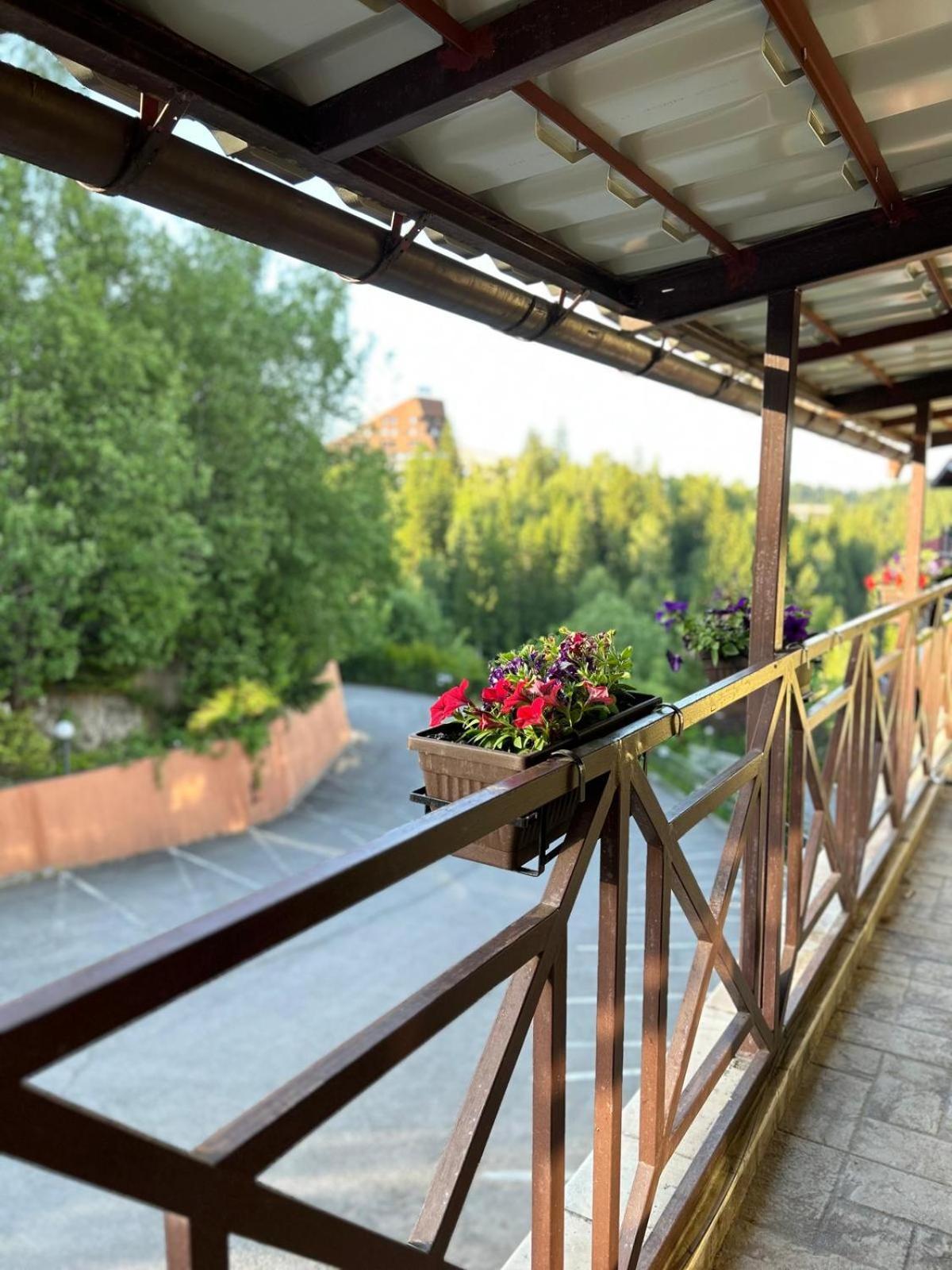 Vila Condor Poiana Braşov Dış mekan fotoğraf